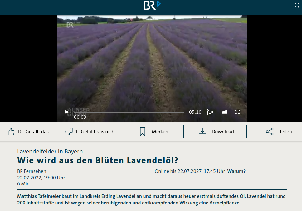 Lavendelfelder in Bayern